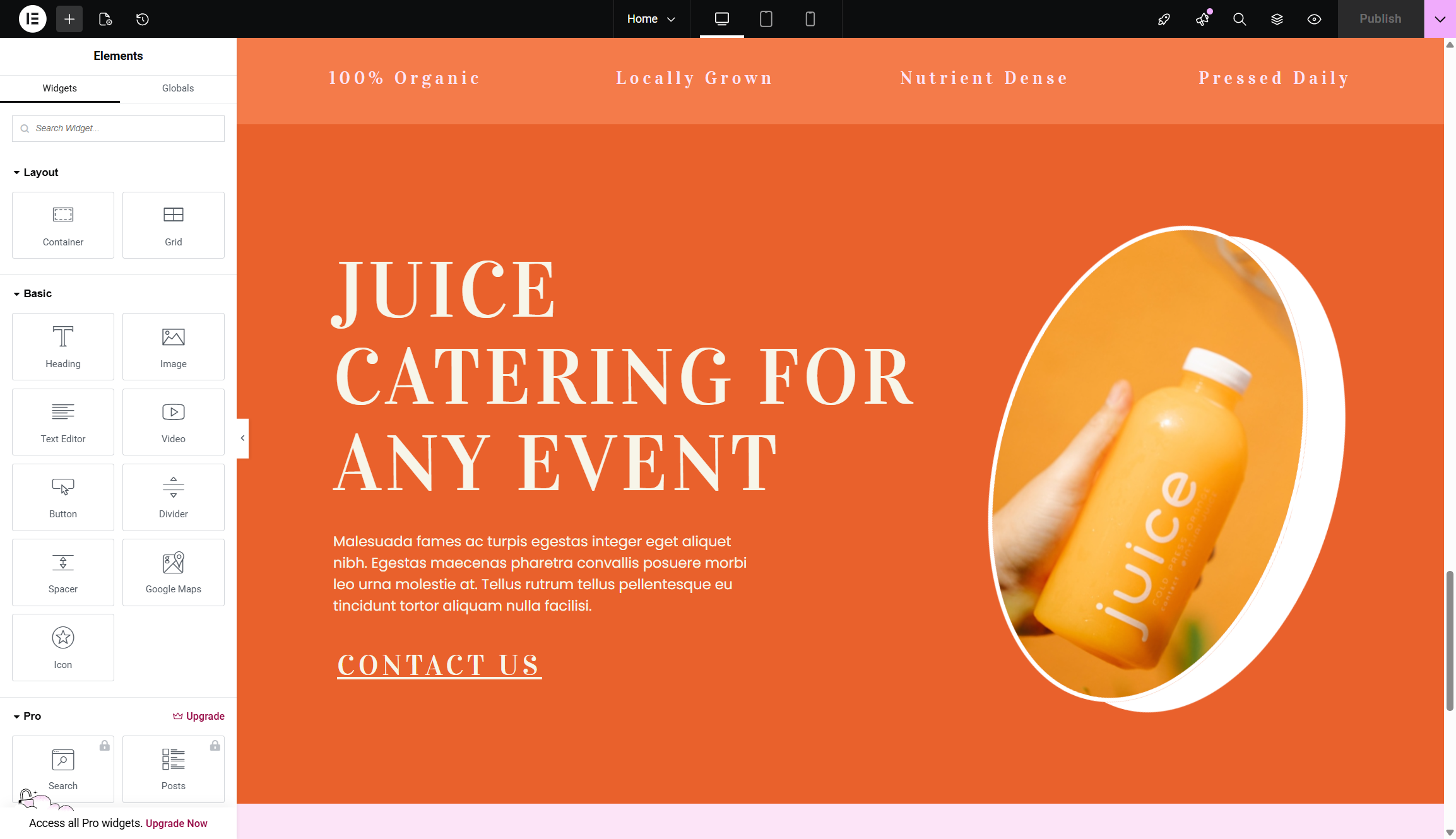 screenshot of elementor landing page creator