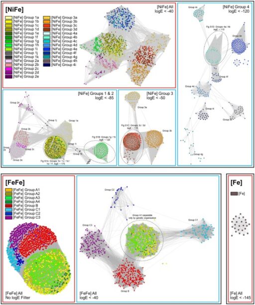 HydDB: A web tool for hydrogenase classification and analysis
