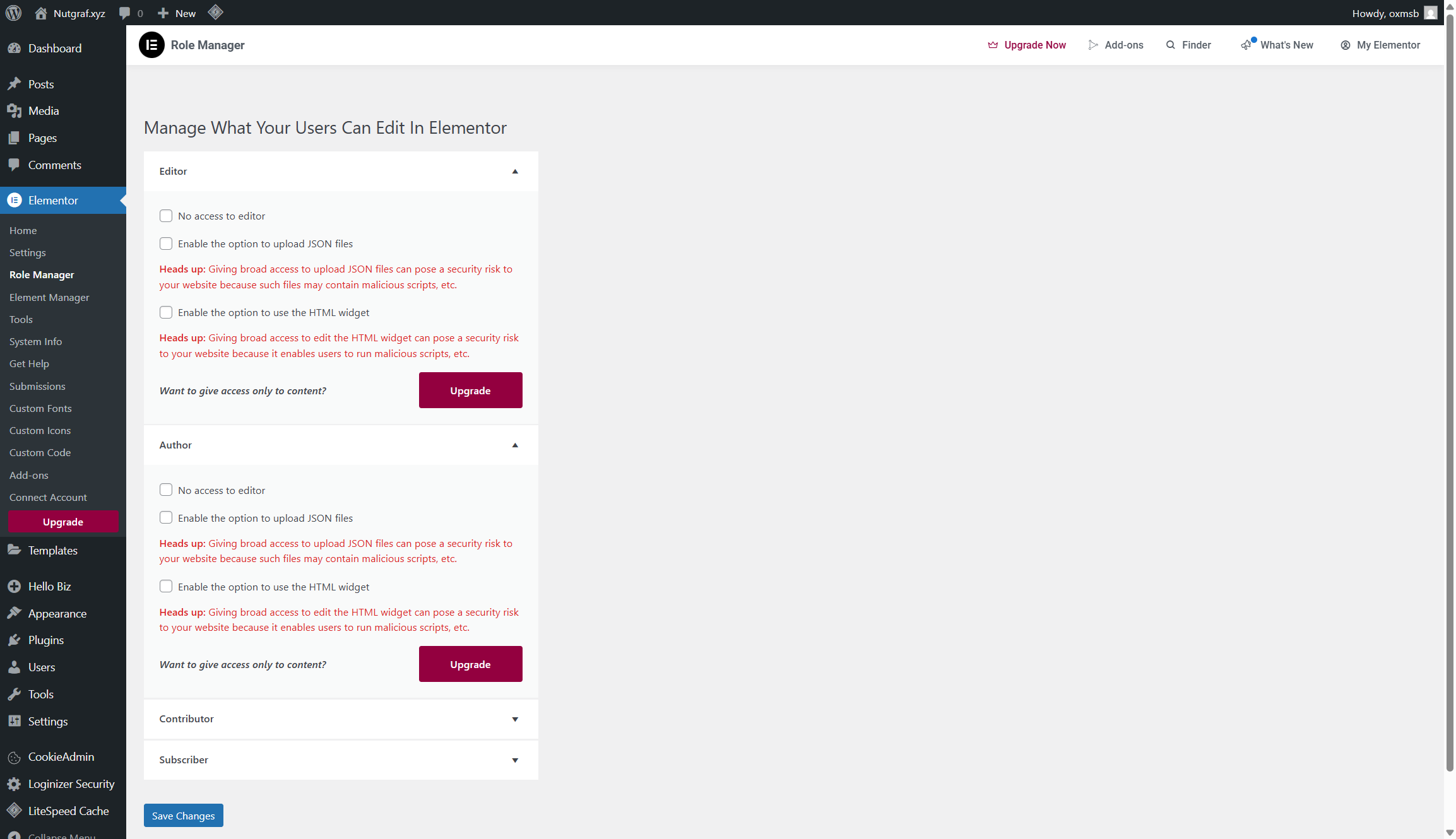 screenshot of elementor access controls