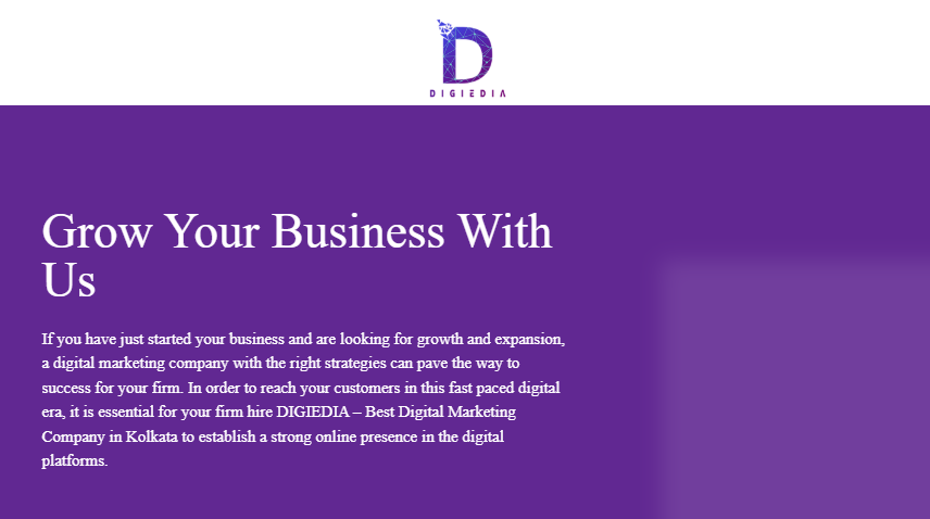 Digiedia Best Digital Marketing Agency In Kolkata