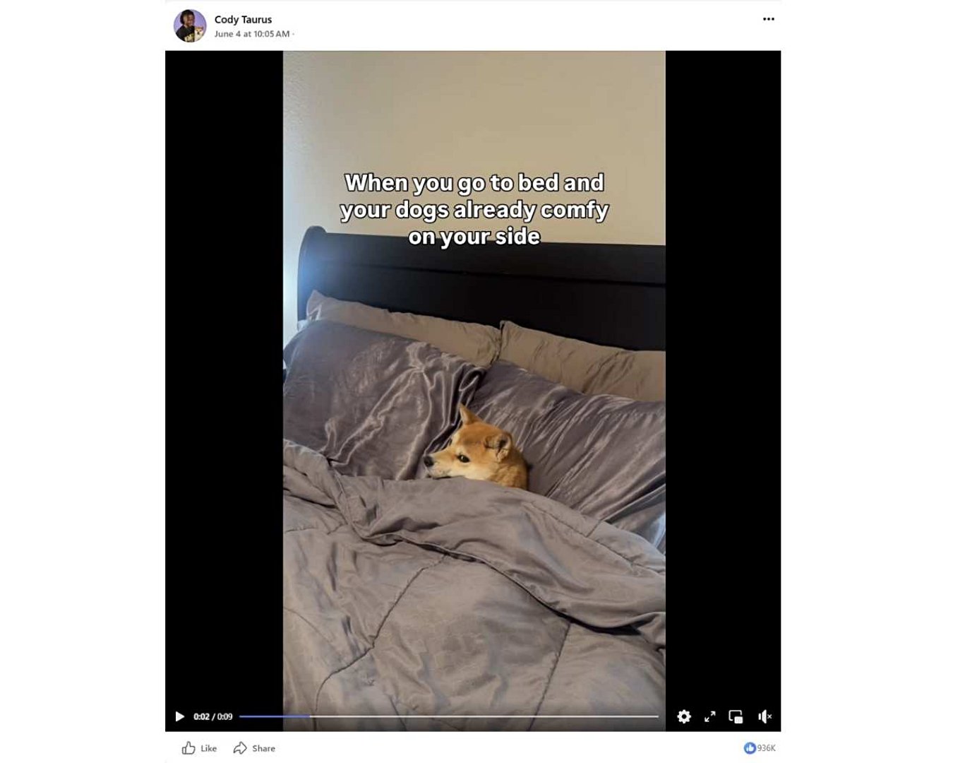 A Facebook Reel shows a dog in a bed with text saying that it had already claimed the comfy side.