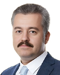 Georgy Daneliya, Seamless Legal