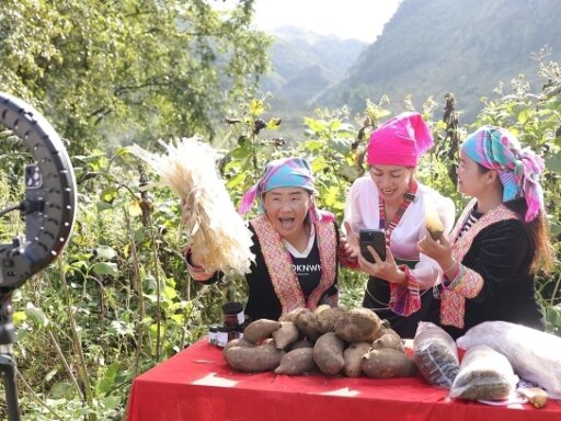 Vietnamese spent $1.3B a month shopping online