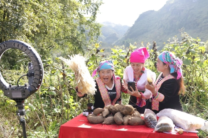 Livestreamers sell potatoes online in Lai Chau Province, northern Vietnam. Photo courtesy of TikTok Shop