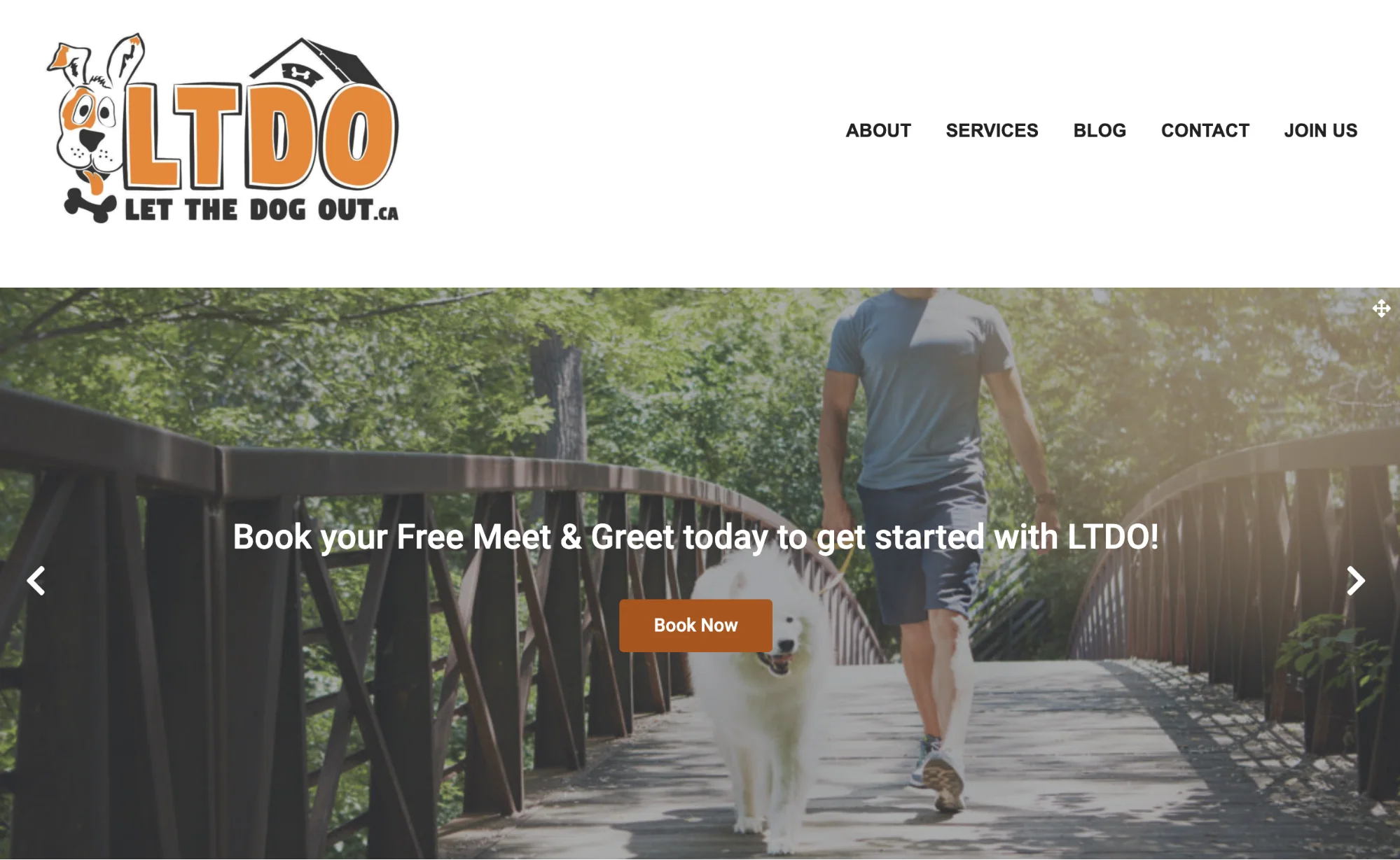 Website for Let the Dog Out that features a man with a dog walking across a wooden bridge.