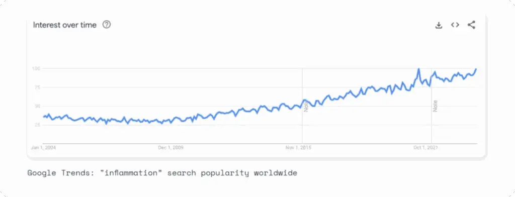 NinjaPromo SEO strategy results