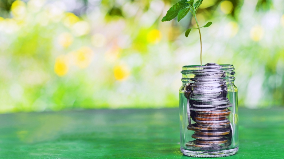 GreenNY Purchasing Requirements and Tools